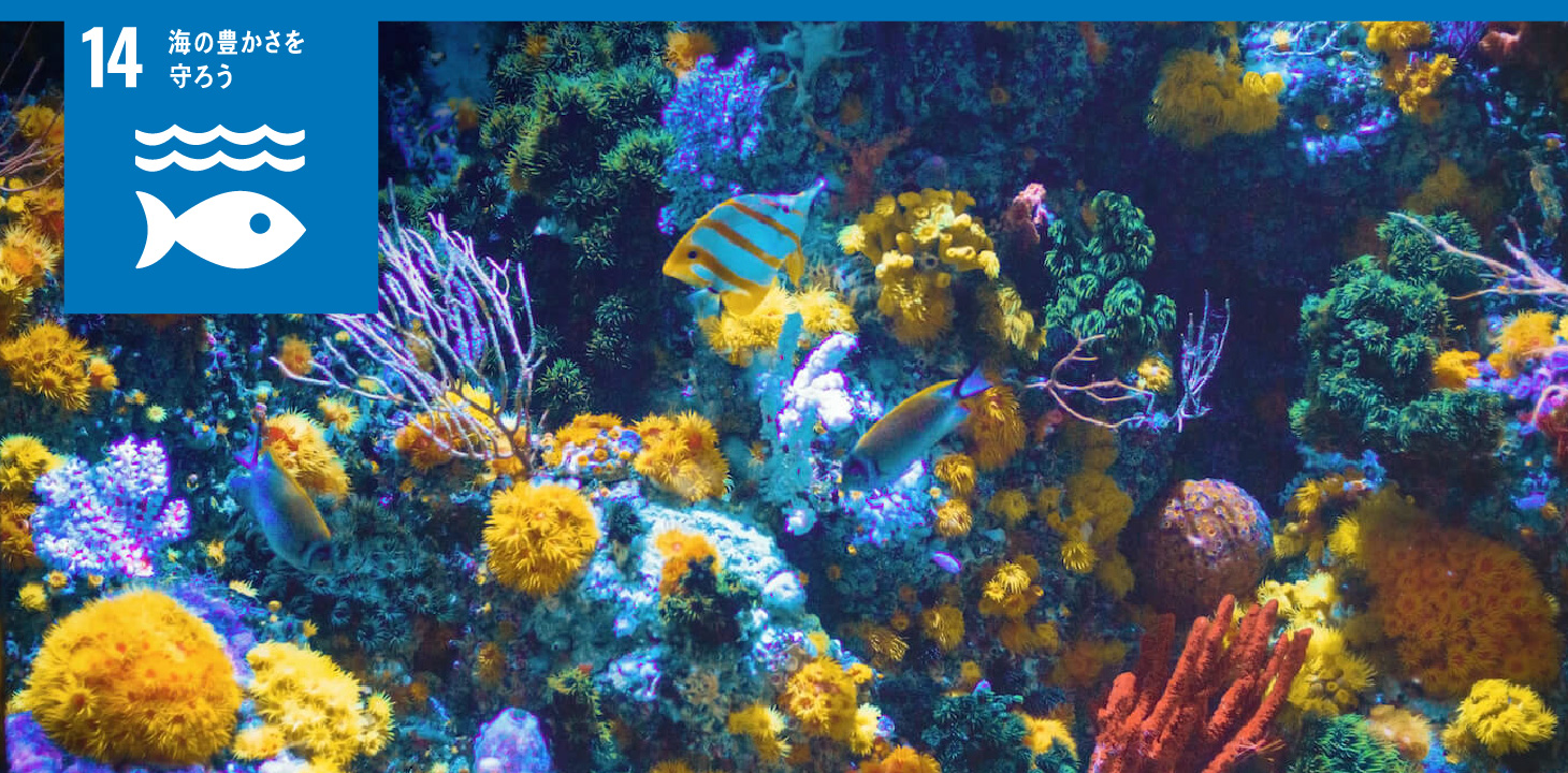 14 海の豊かさを守ろう