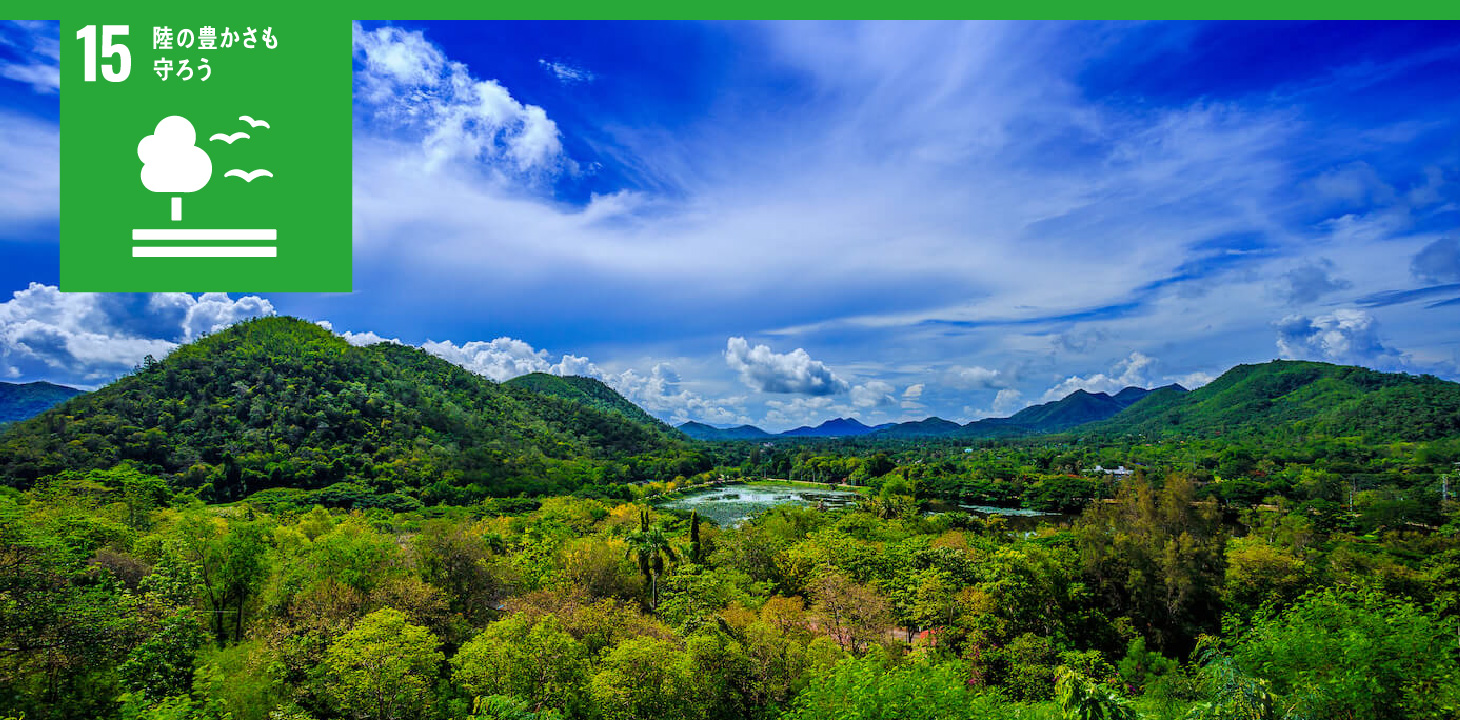 15 陸の豊かさも守ろう