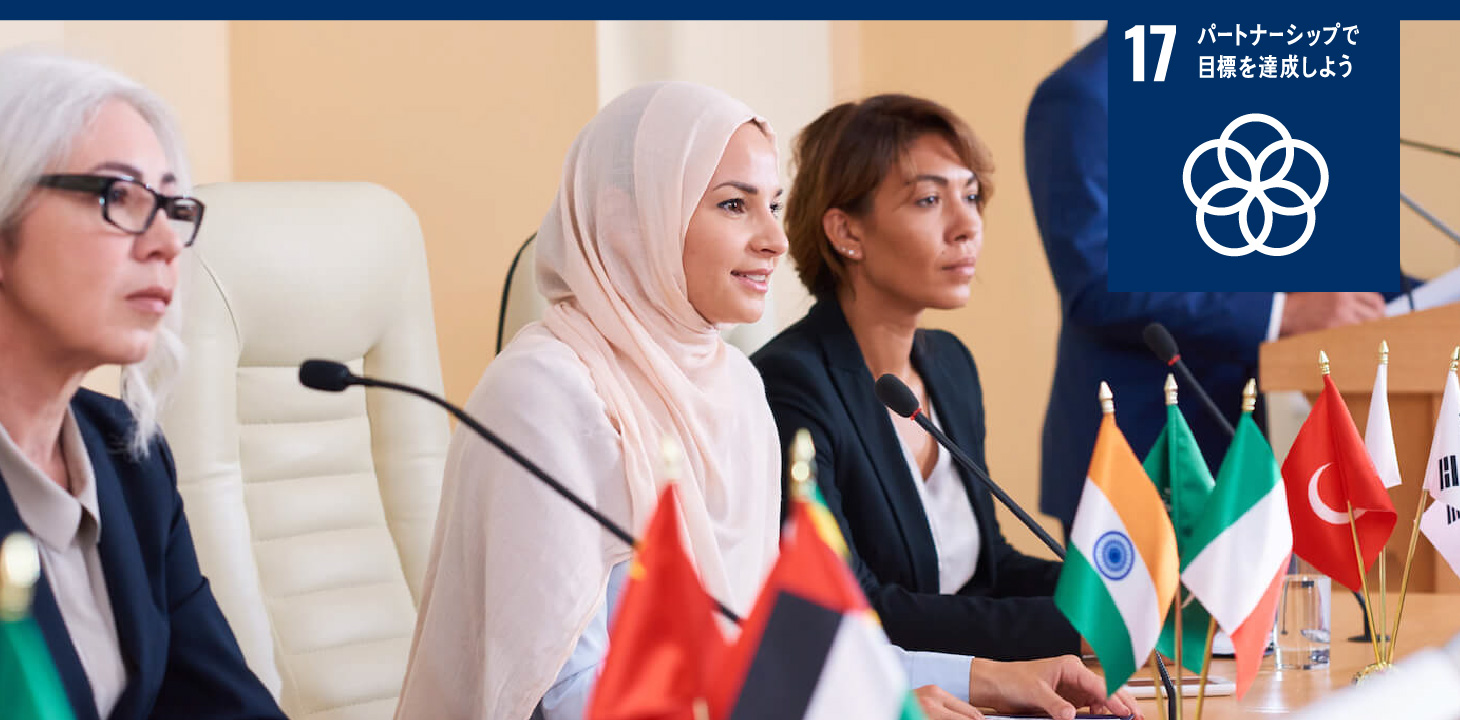 17 パートナーシップで目標を達成しよう